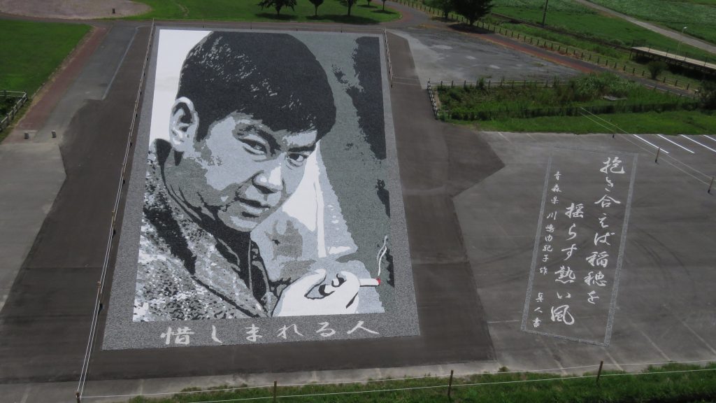 田舎館村の田んぼアート