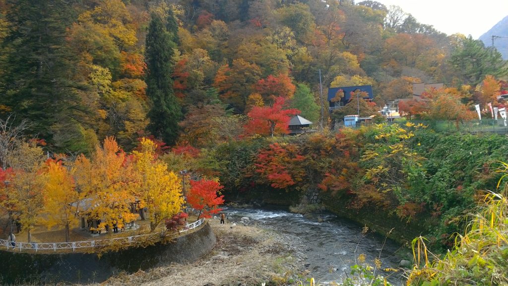 中野もみじ山の紅葉